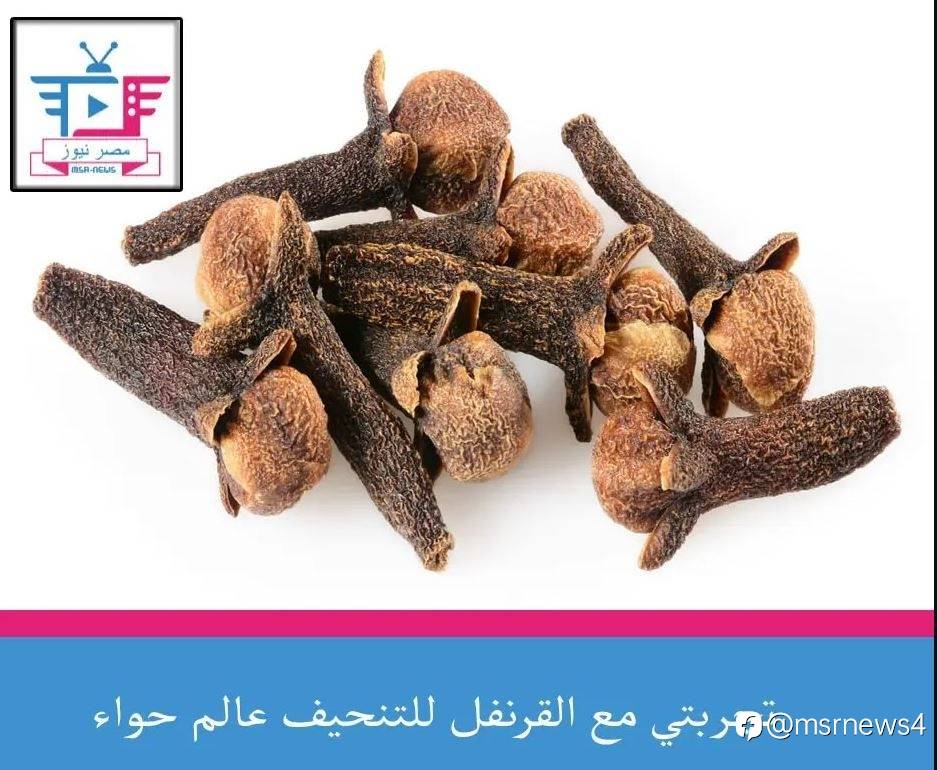 تجربتي مع القرنفل للتنحيف عالم حواء