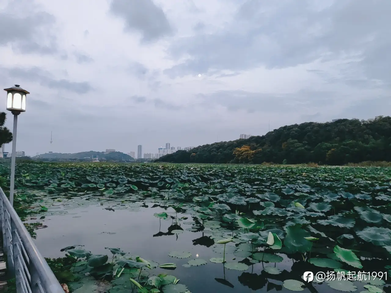 中秋随想