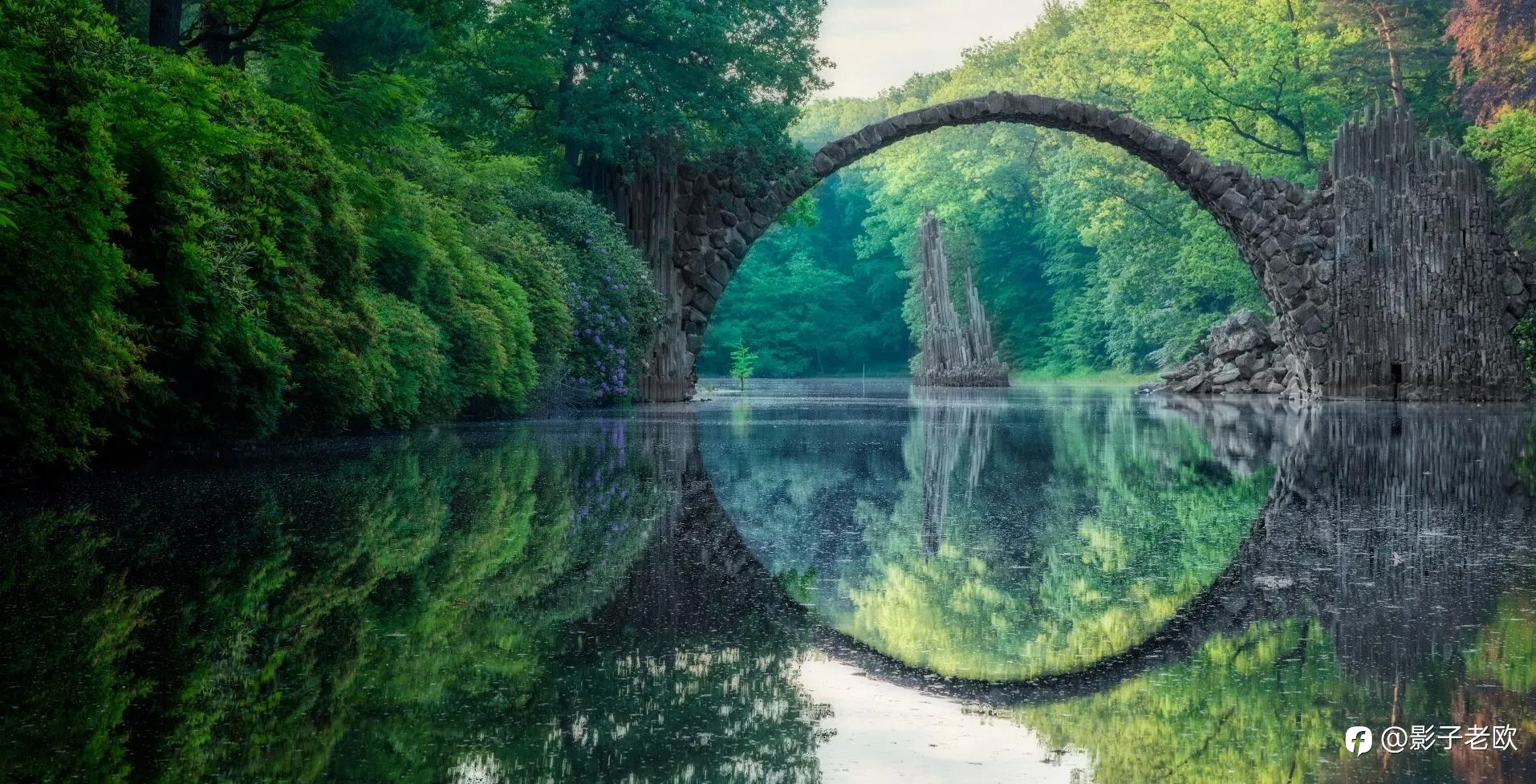 feed image