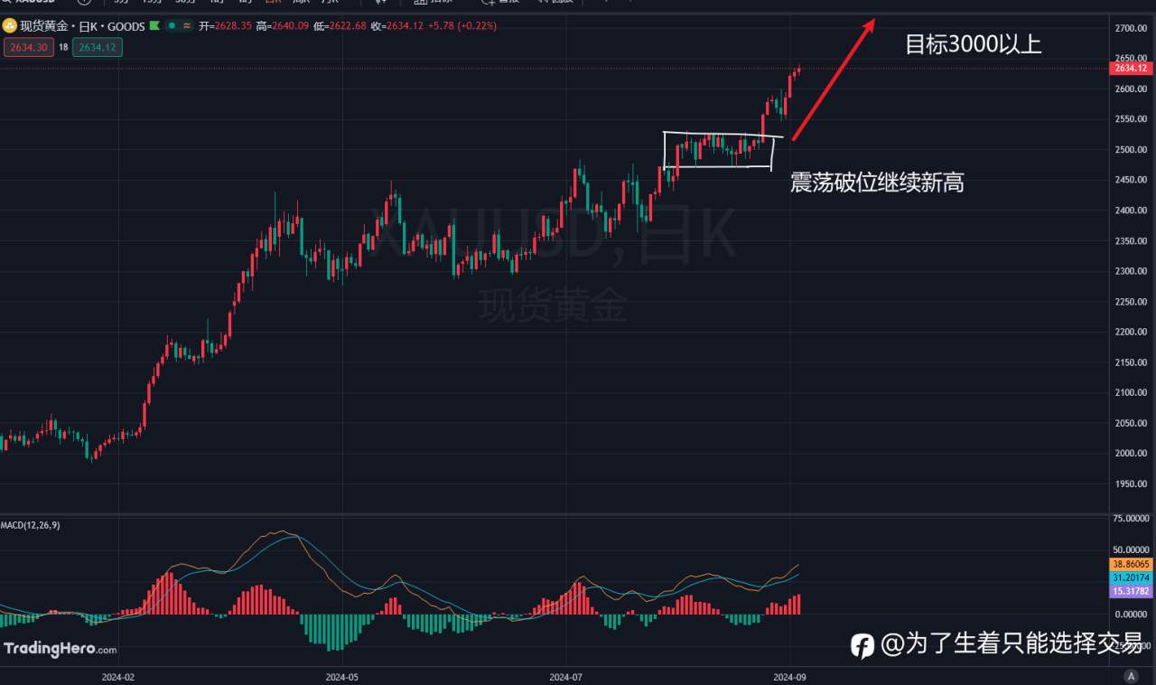 各品种走势研判！