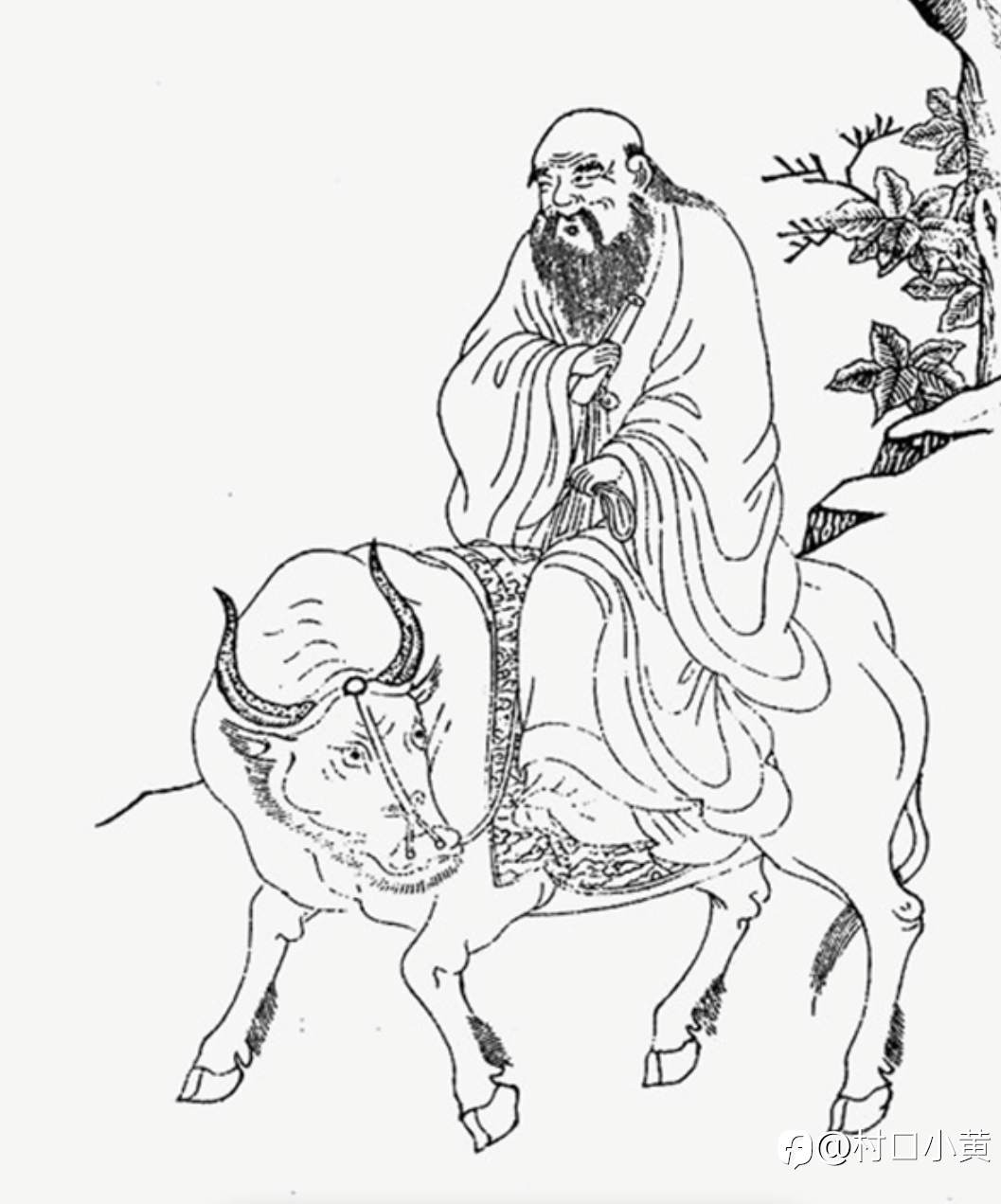 feed-image-1