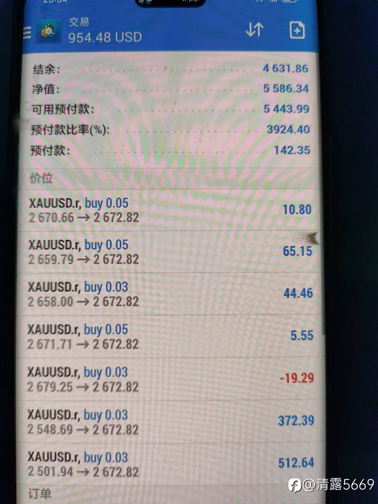 feed-image-1