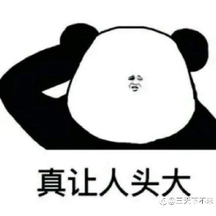 feed-image-0