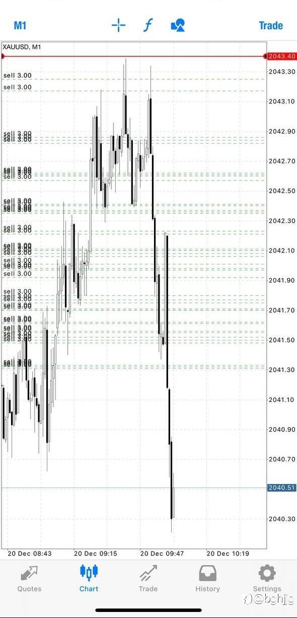 feed-image-0