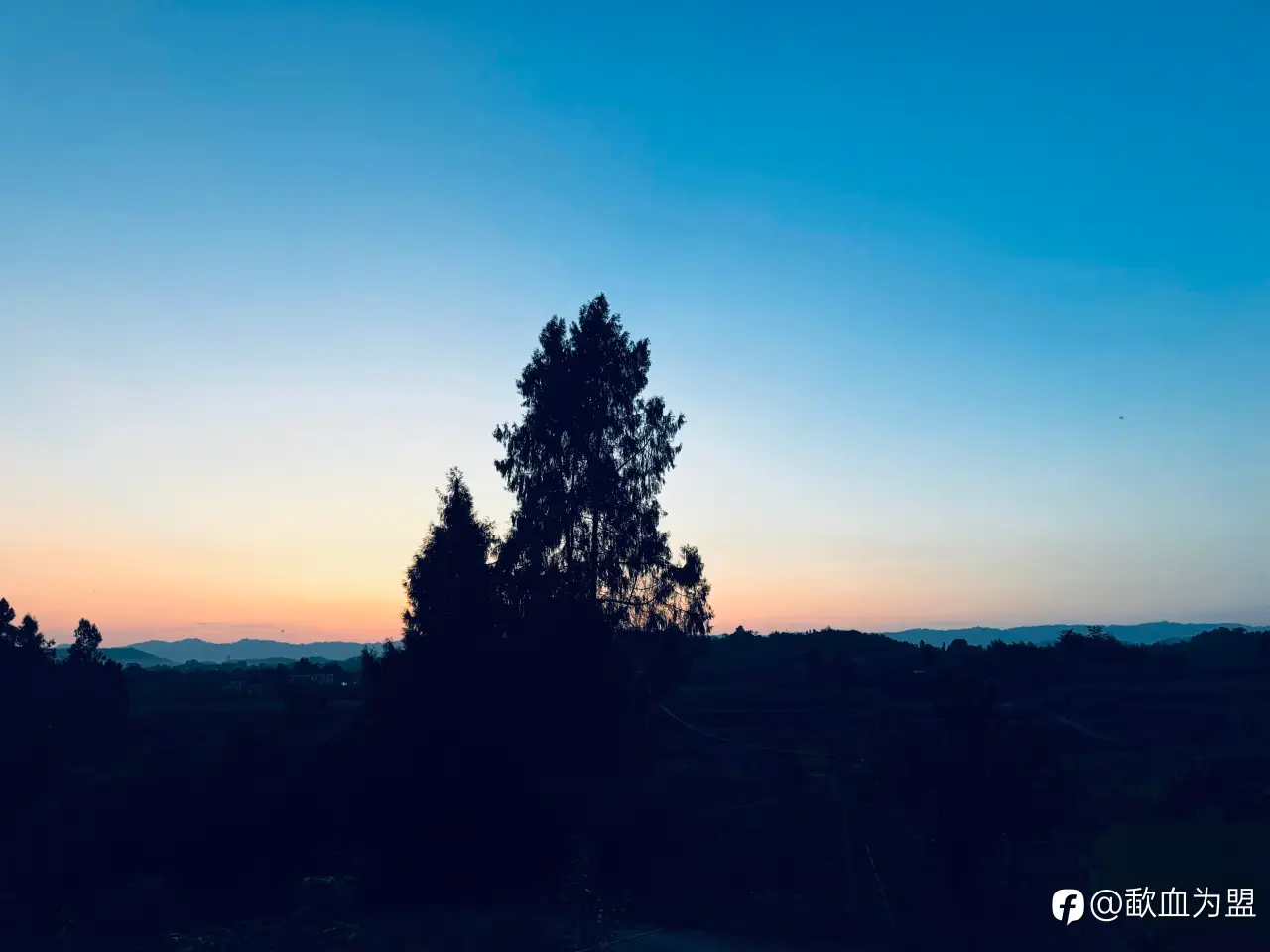 feed image