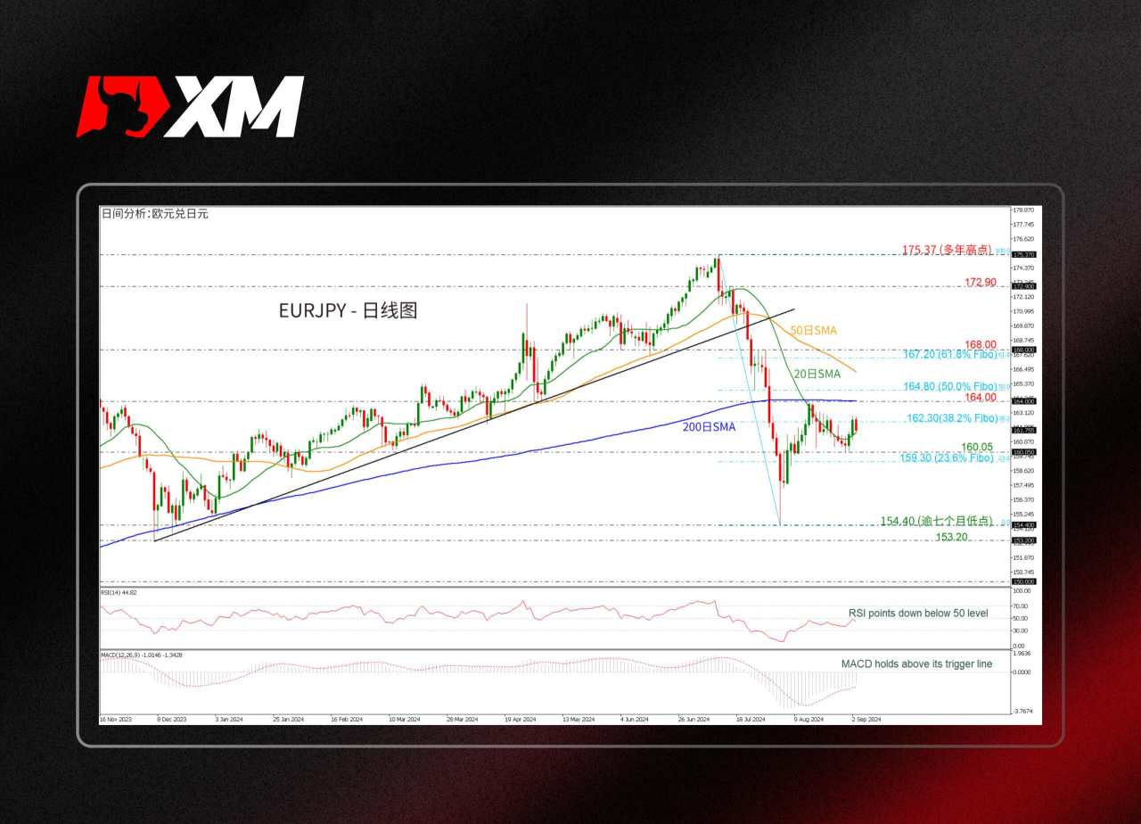 汇价 那契 平均线 信号线 突破 移动