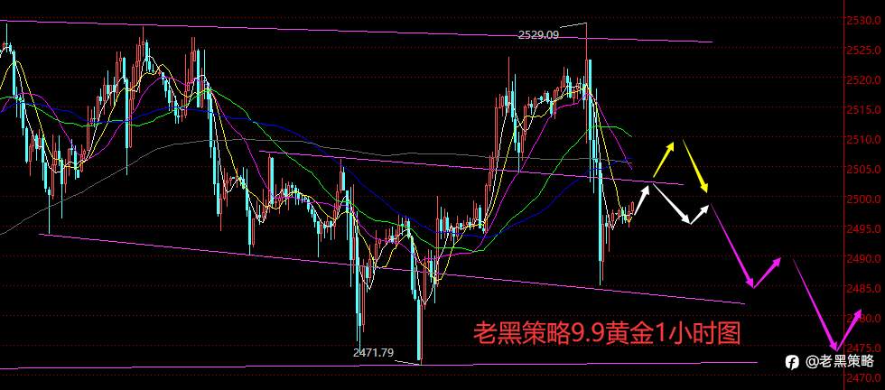 老黑策略：9.9外汇、黄金、原油分析策略