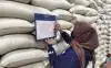 Harga CPO Turun Dua Hari Beruntun, Dilanda Profit Taking