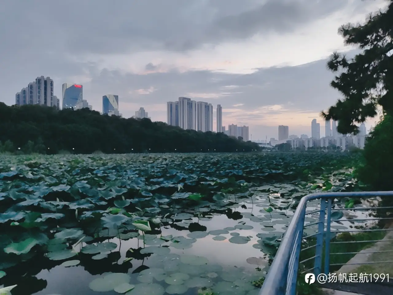 中秋随想