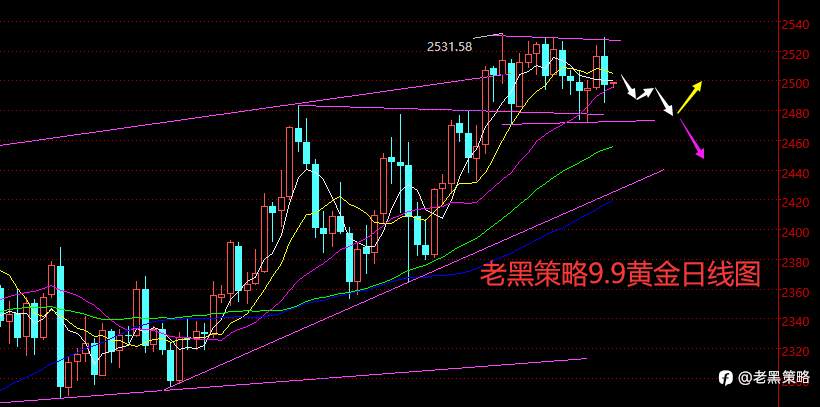 老黑策略：9.9外汇、黄金、原油分析策略