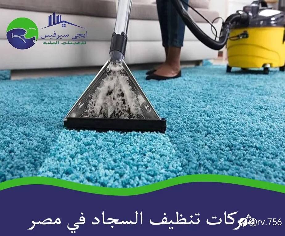 شركات تنظيف السجاد في مصر