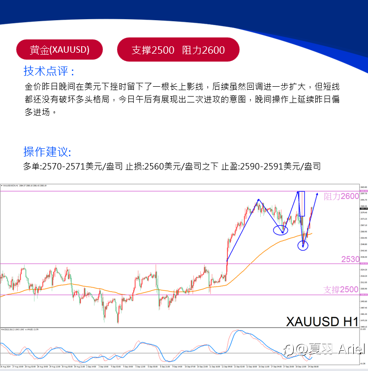黄金强势蓄力！多头卷土重来，晚间或迎爆发性上涨！