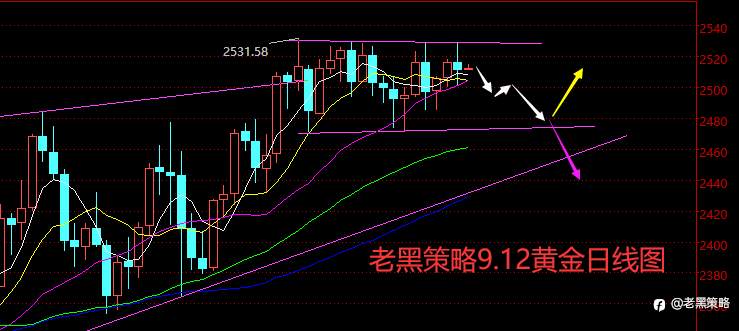 老黑策略：9.12外汇、黄金、原油分析策略