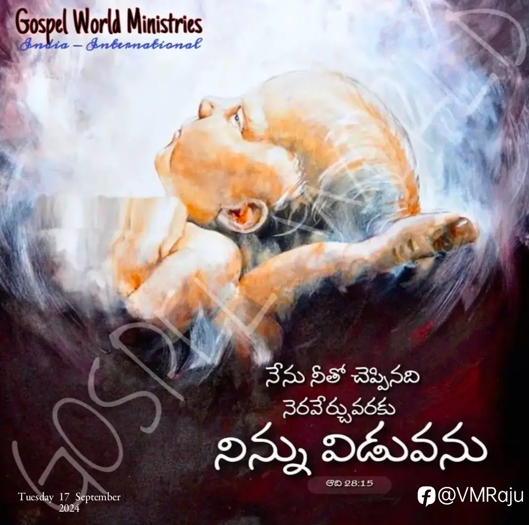 feed image