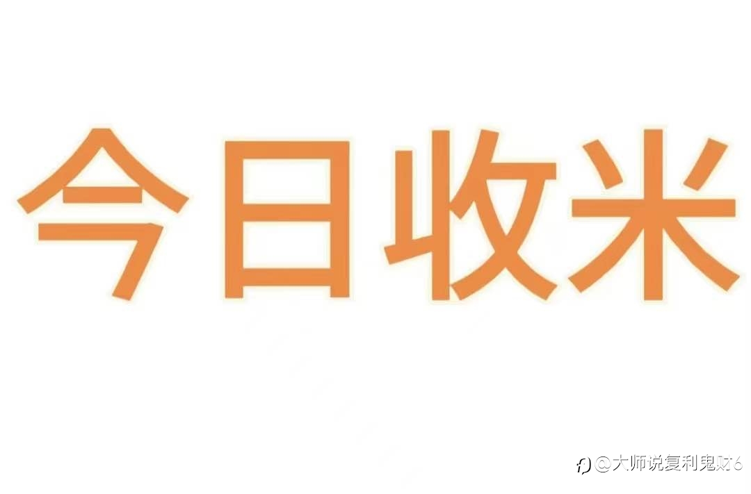 策略空单收米