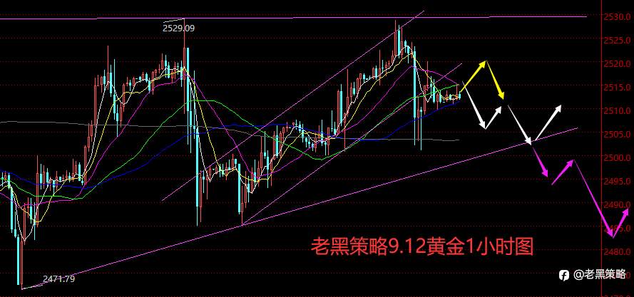 老黑策略：9.12外汇、黄金、原油分析策略