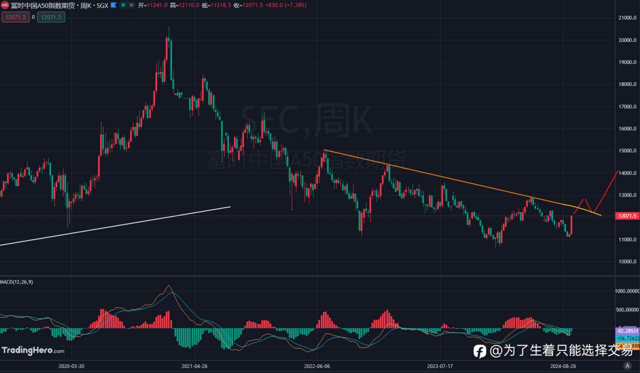 各品种走势研判！