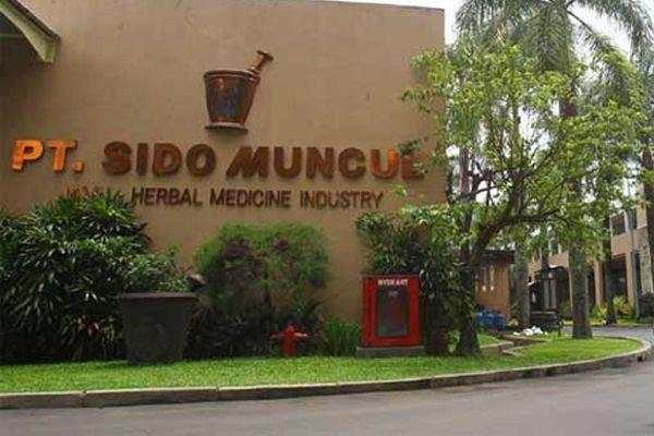 Ekspor Moncer, Sido Muncul (SIDO) Dulang Laba Rp778 Miliar hingga Kuartal III-2024