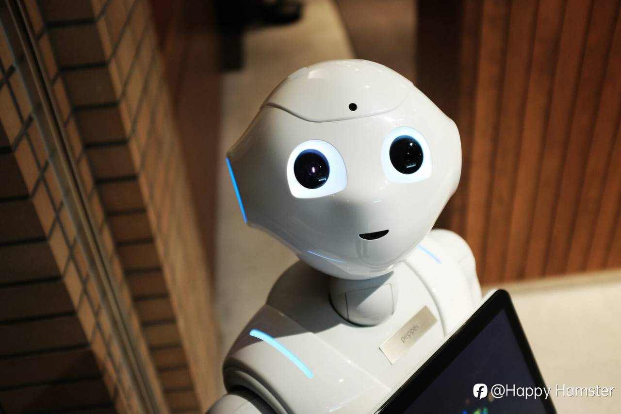 How to Set Up and Run a Forex Trading Robot: Step-by-Step Guide