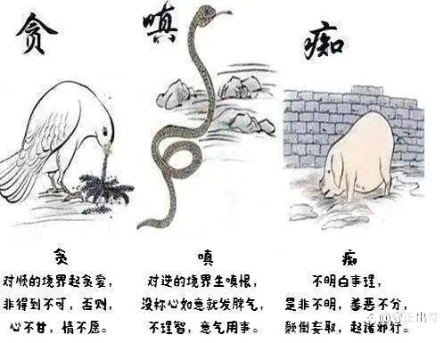 feed image