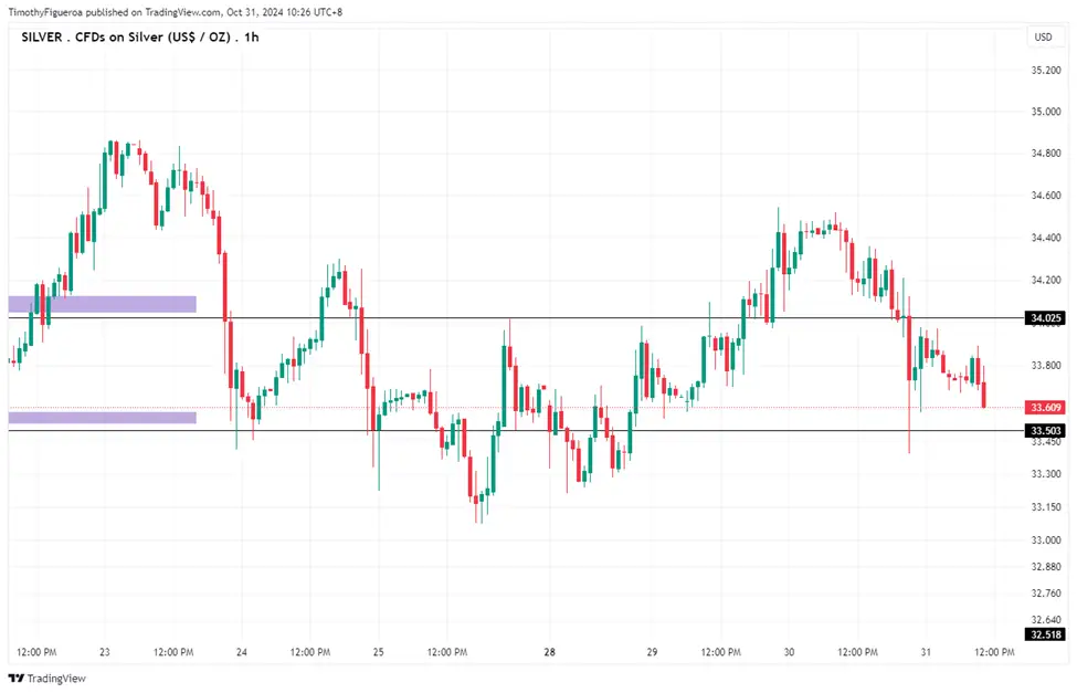 2024年10月31日市场报告