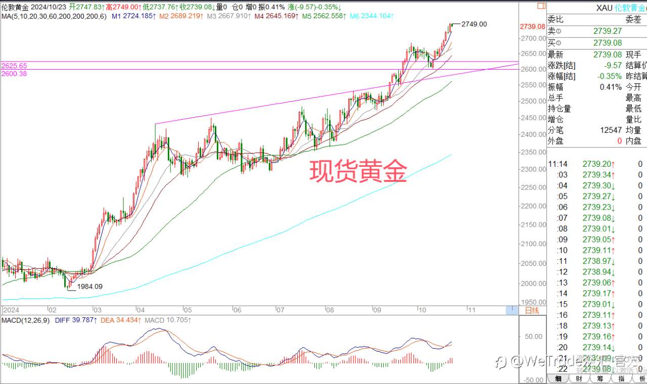 2024年10月23日|每日汇评-策略分析|王萍：黄金美日偏多原油震荡