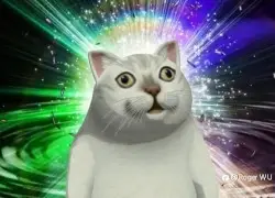 feed image