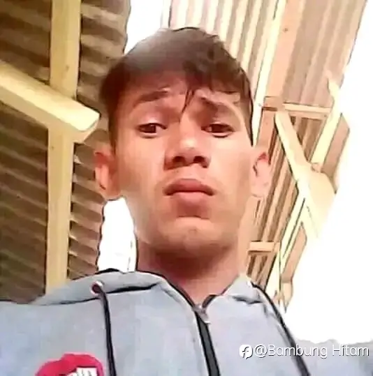 feed image