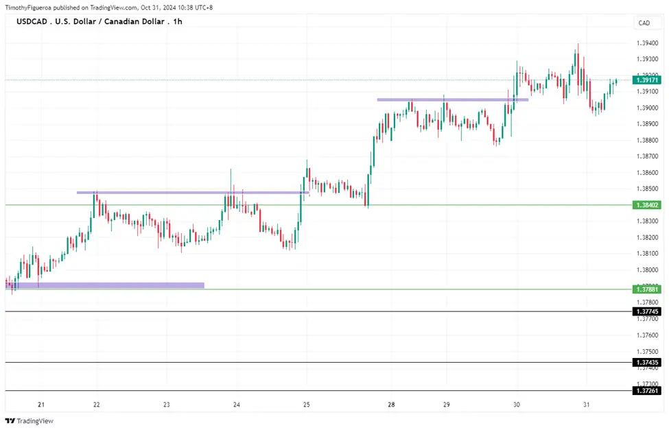 2024年10月31日市场报告