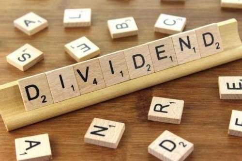 DIRE Simas Plaza (XSPI) Cairkan Dividen Interim Rp65 Miliar Awal November