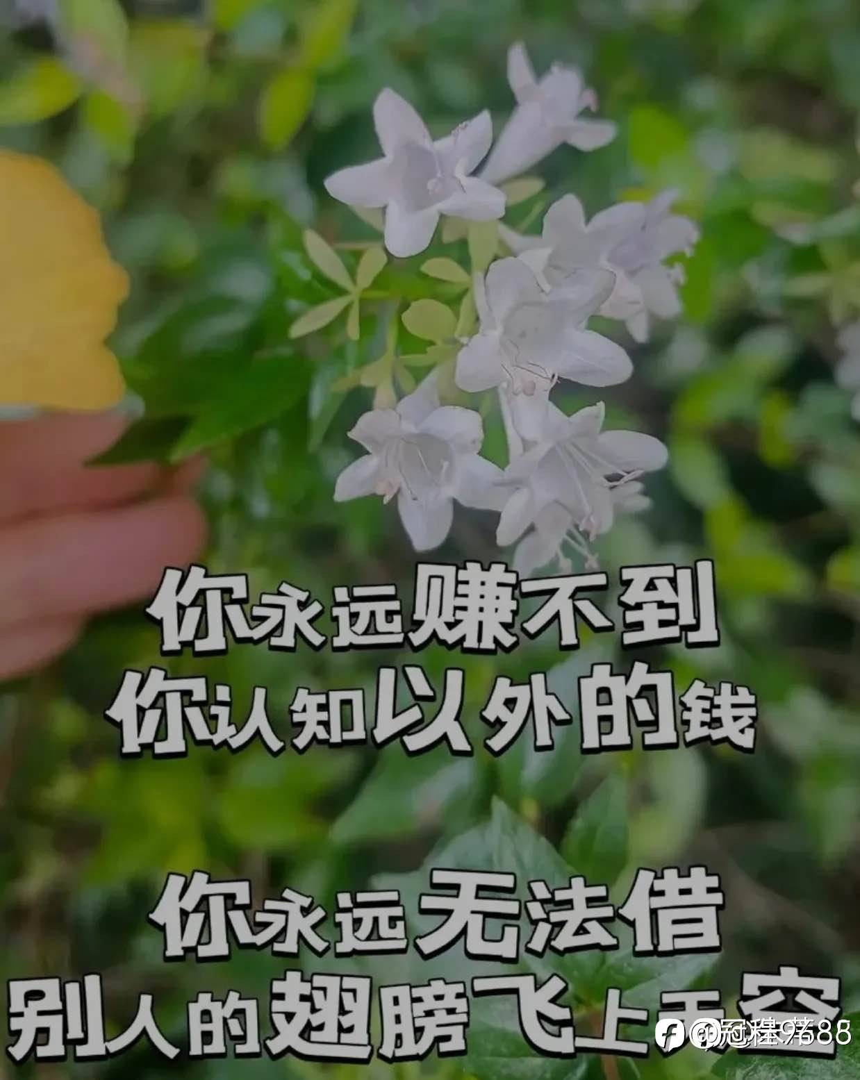 百万之路规划