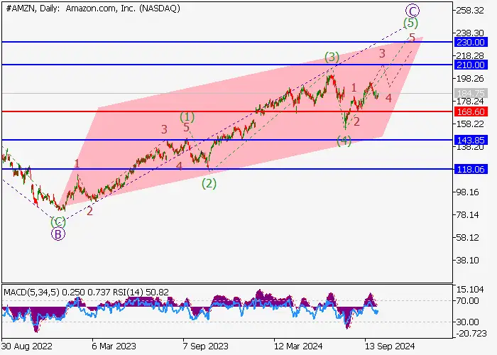 Amazon.com Inc.: wave analysis
