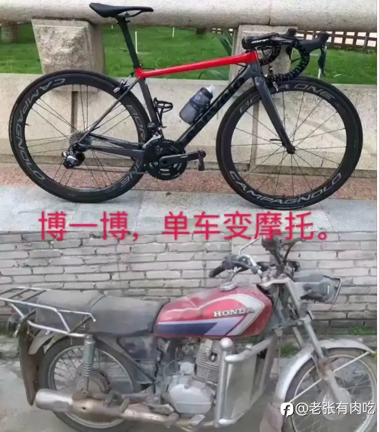 小鸡快跑！