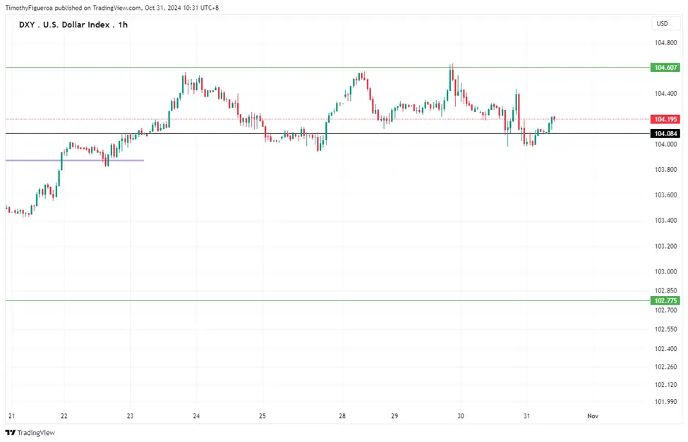 2024年10月31日市场报告