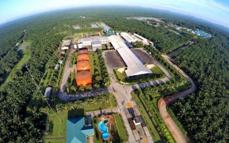 Raih Sertifikat RSPO, Sawit Sumbermas (SSMS) Jajaki Kerja Sama dengan Unilever (UNVR)