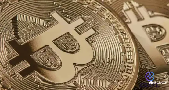Crxxe corretora de criptomoeda impulsiona o desenvolvimento da indústria e entende as tendências globais do blockchain