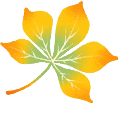 最后1天！！现金连抽连中，华为三折屏、苹果 16等你领
