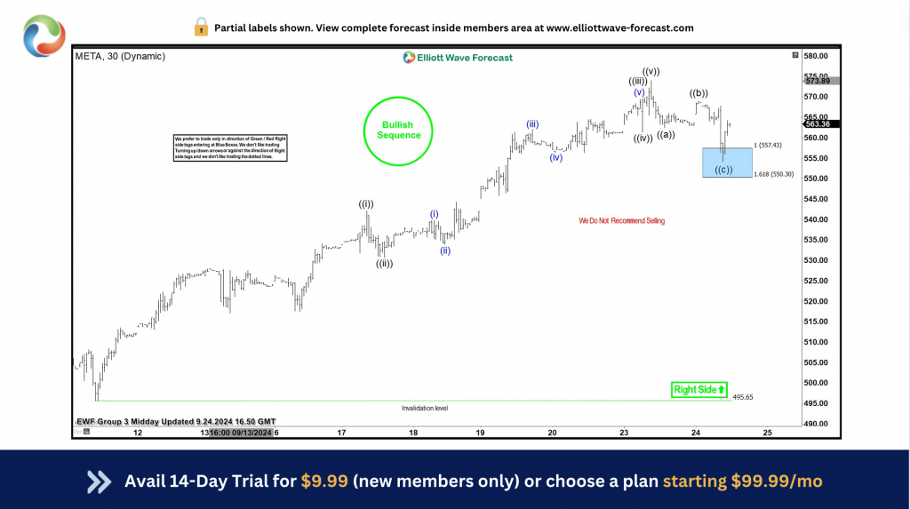 Elliott Wave Analysis: META hits new high from blue box