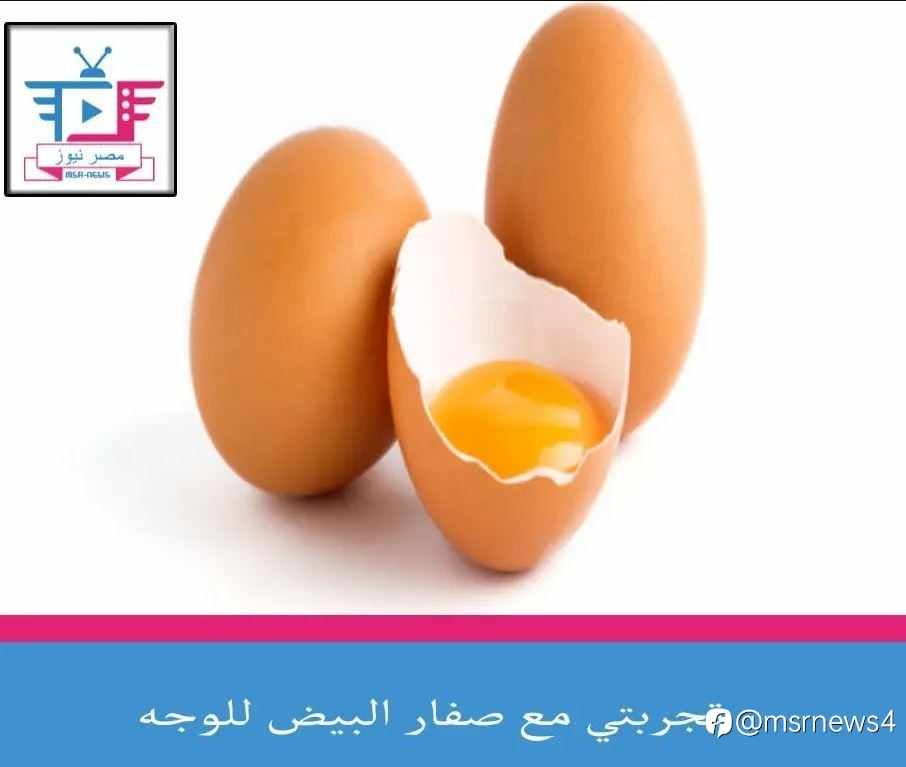 تجربتي مع صفار البيض للوجه