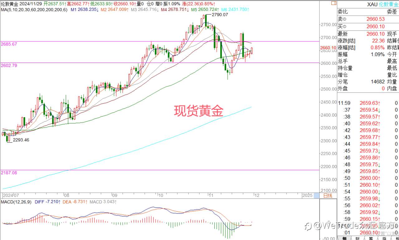 2024年11月29日|每日汇评-策略分析|王萍：美日调整还未结束