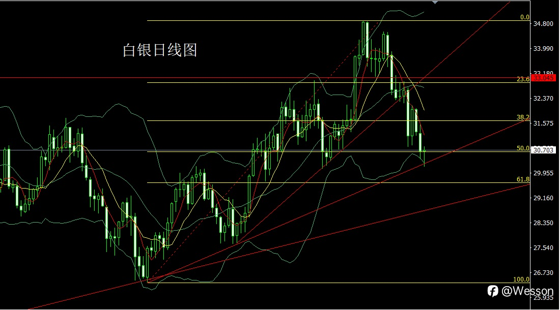 11月13日:日线头肩迎通胀,金银探底尝试多