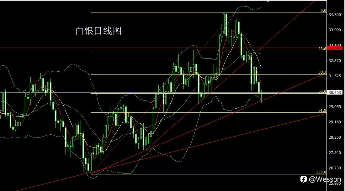 11月13日：日线头肩迎通胀，金银探底尝试多