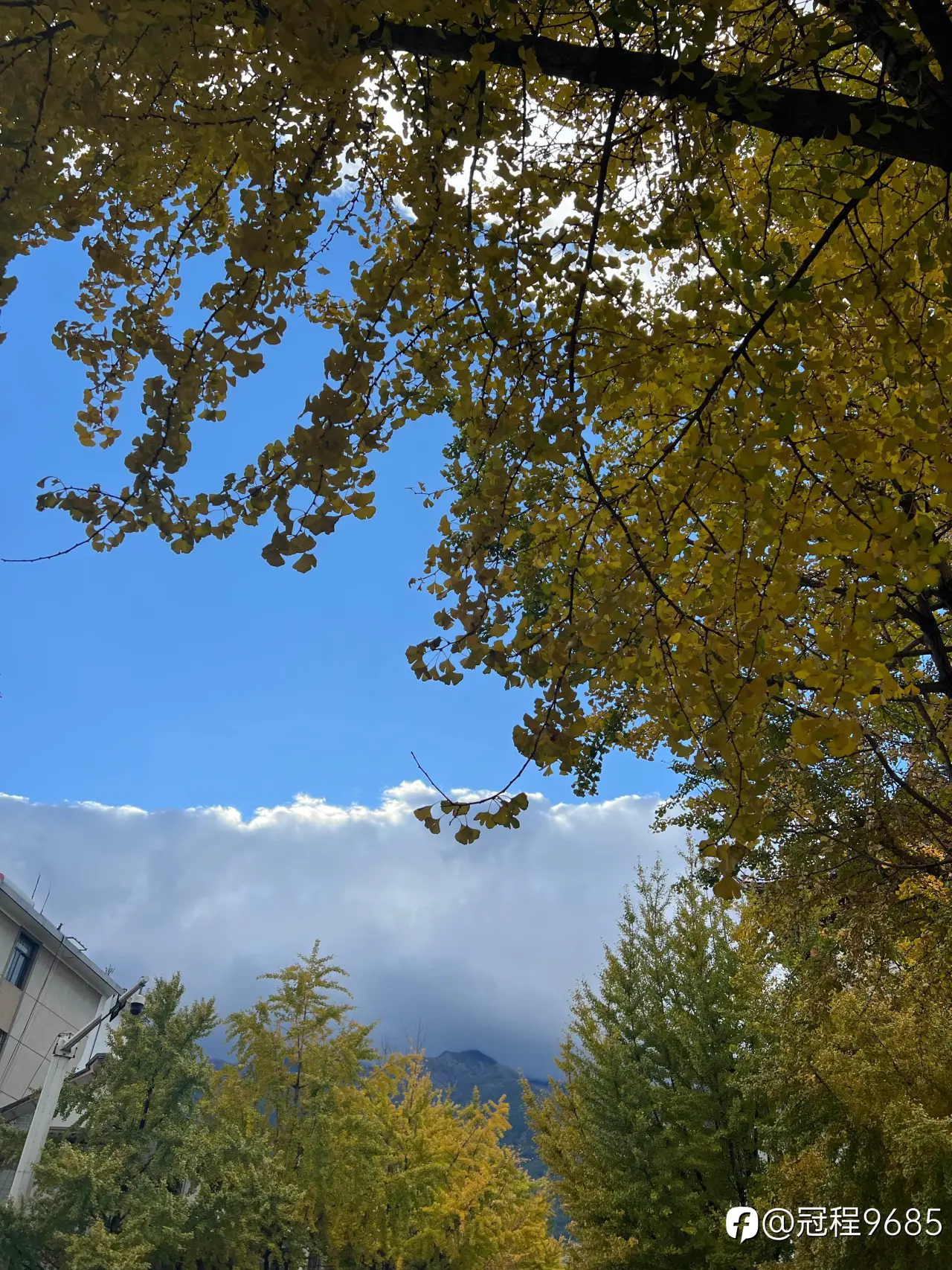 feed image