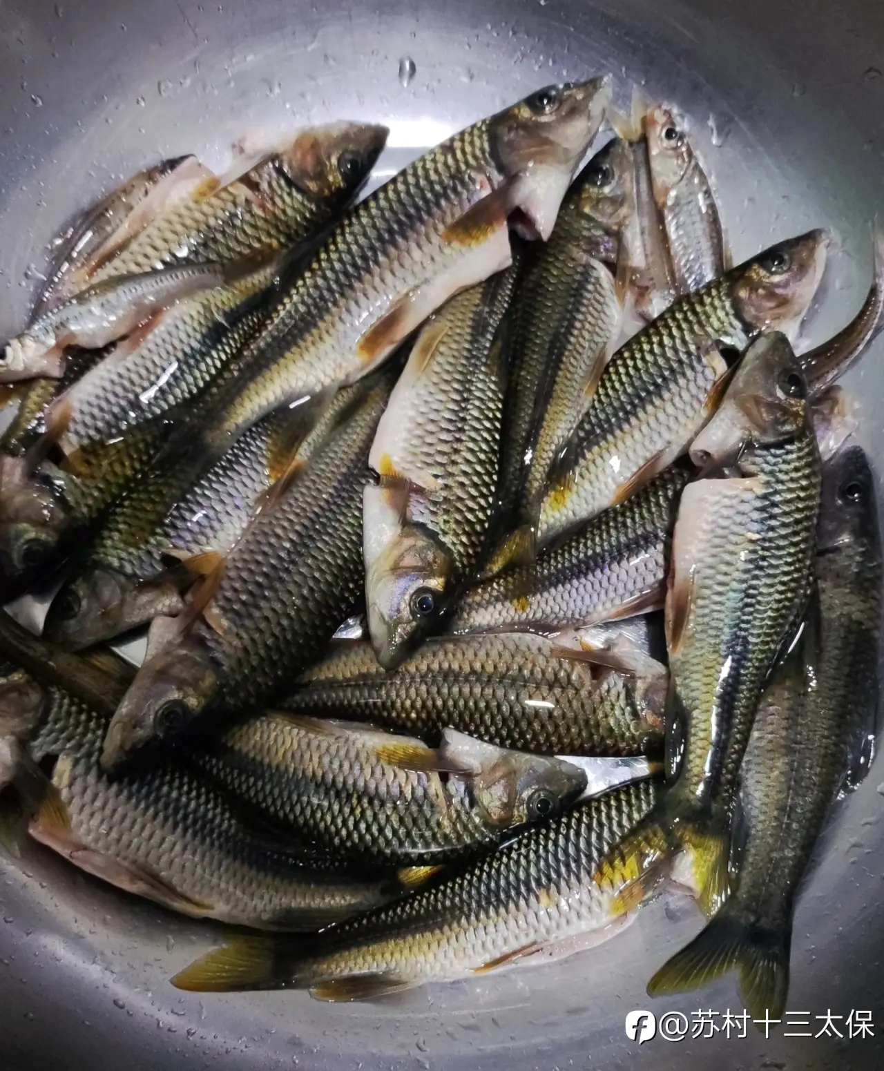 feed image
