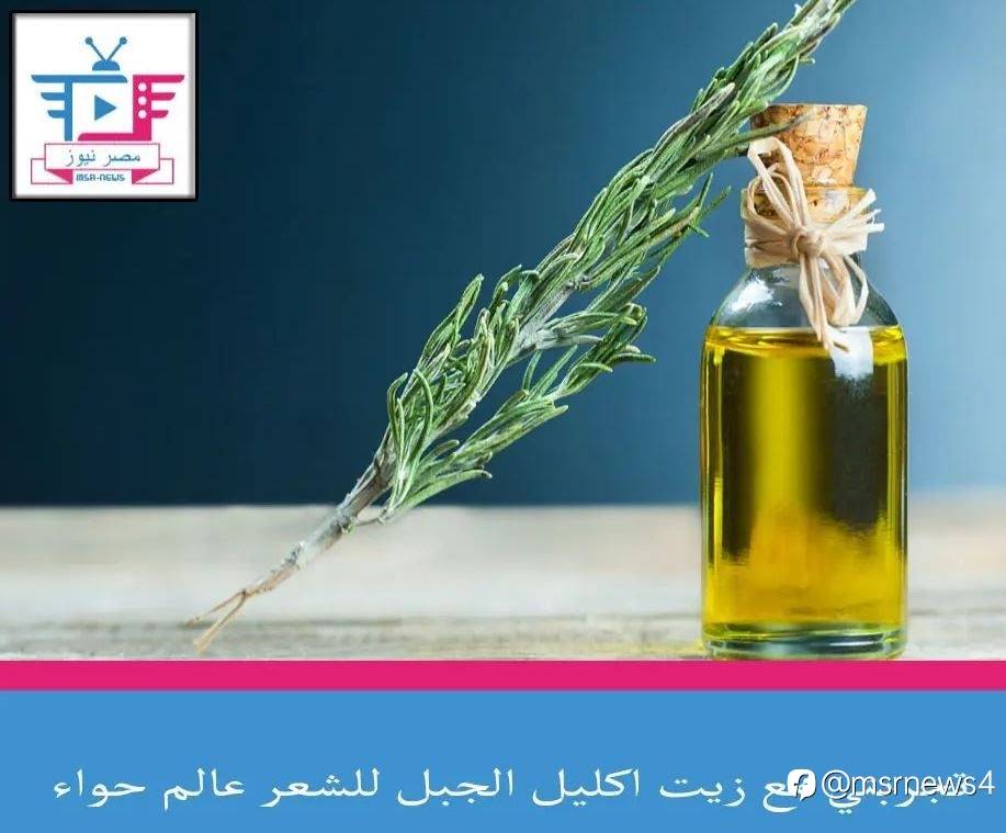 تجربتي مع زيت اكليل الجبل للشعر عالم حواء
