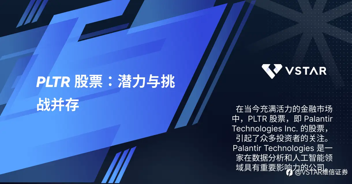 PLTR 股票：潜力与挑战并存