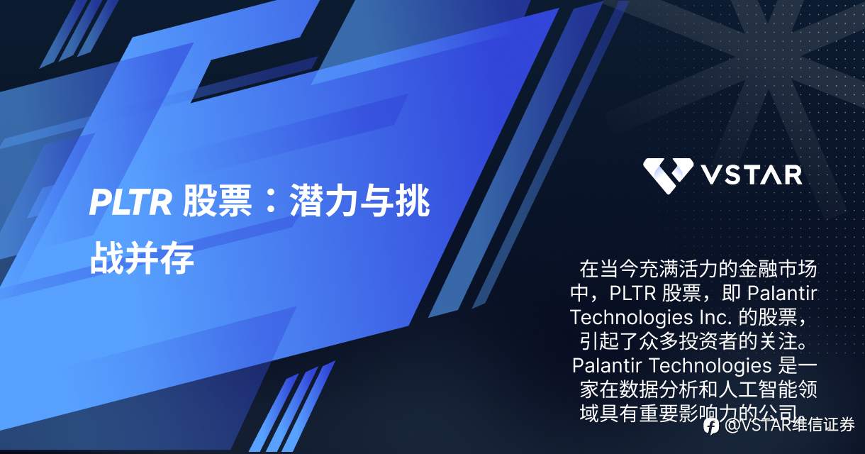 PLTR 股票:潜力与挑战并存