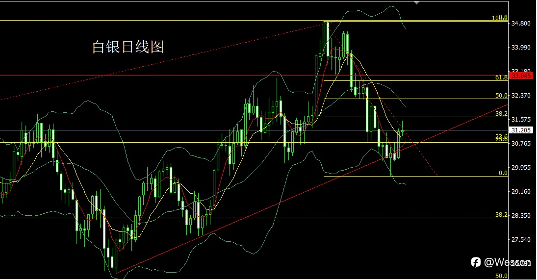 11月20日：美指回落推商品，金银延续做多