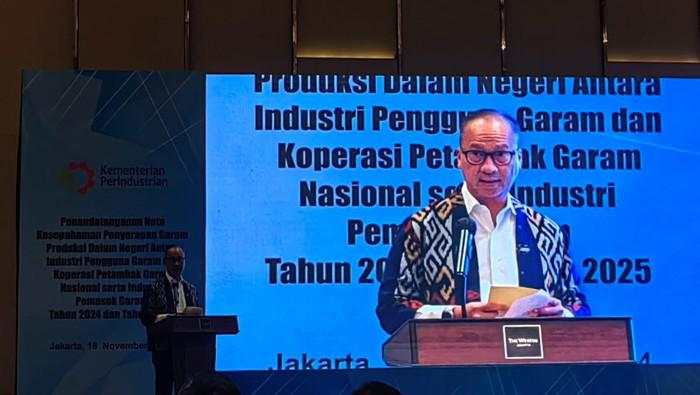 Industri Aneka Pangan-Farmasi Dilarang Impor Garam Mulai Tahun Depan!