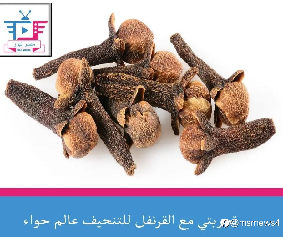 تجربتي مع القرنفل للتنحيف عالم حواء